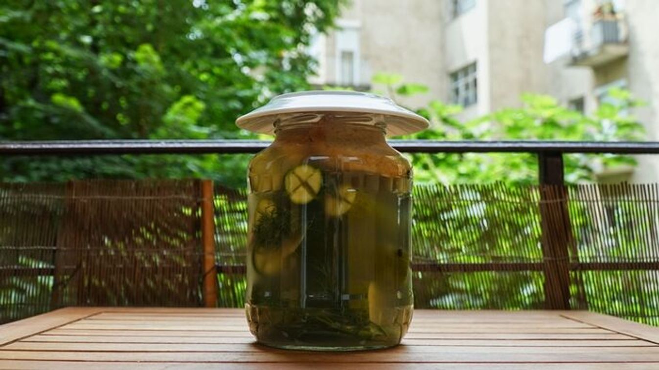 Roppanós koviubi 4 nap alatt: Tökéletes ez a recept