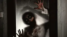 Áttörés a rák gyógyításában: magyarok jöttek rá, hogyan működnek a tetszhalott zombi sejtek