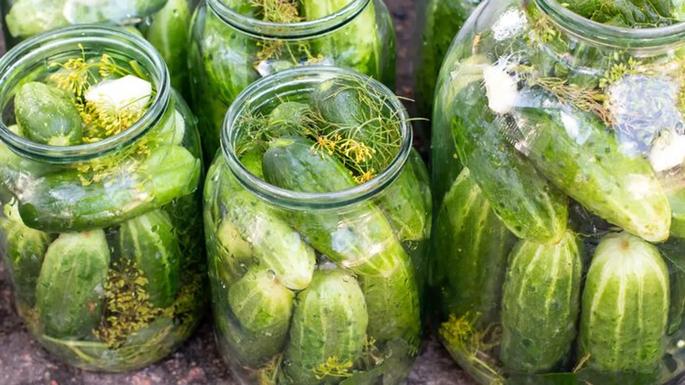 Kovászos uborka: Így készítsd el kenyér nélkül