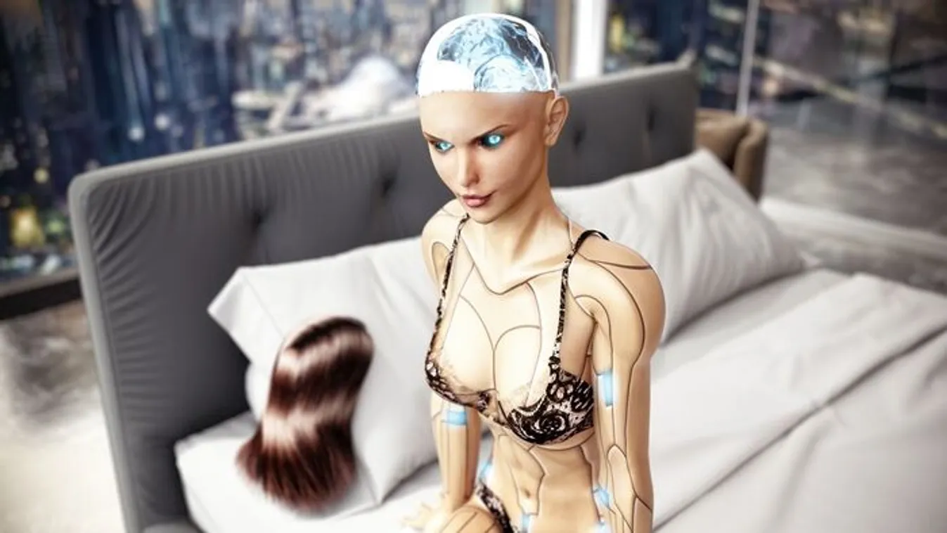 Szexrobotokat lehet bérelni egy berlini bordélyházban