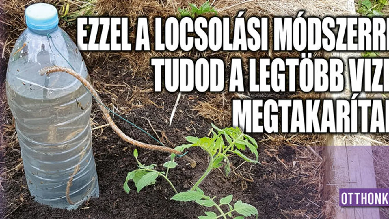 Ezzel a locsolási módszerrel rengeteg vizet spórolhatsz