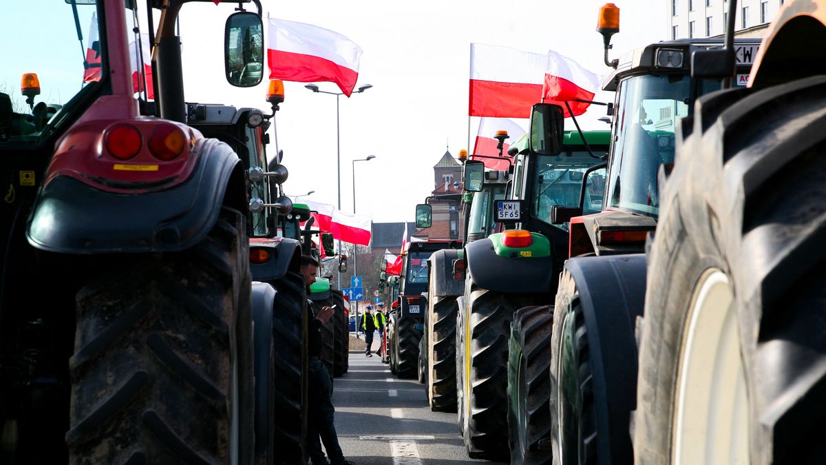 Brüsszelbe vonulnak a gazdák. Szerdán demonstrálnak, mert csökkentenék a támogatásokat