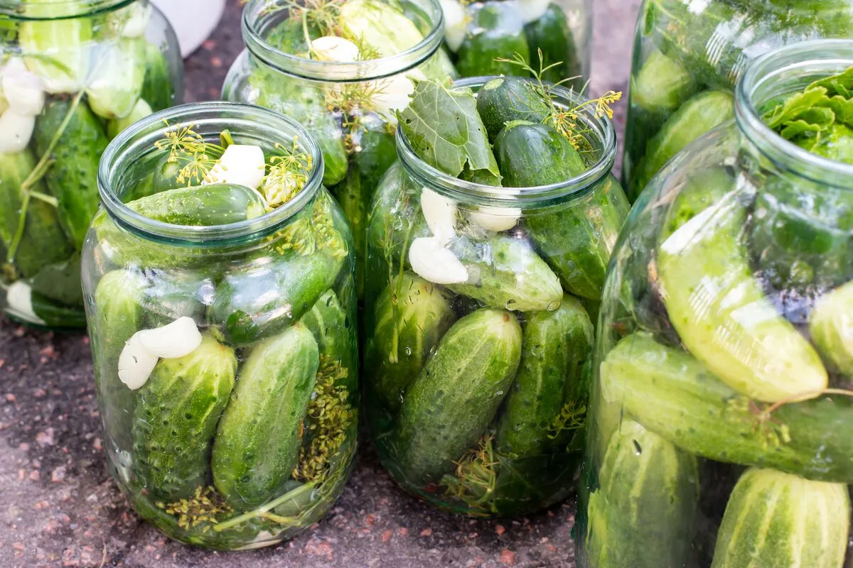 Erdélyi háziasszonyok uborkájaPreparation,Of,Canned,Cucumbers,Or,Fermented,Cucumbers,In,Glass,Jars.