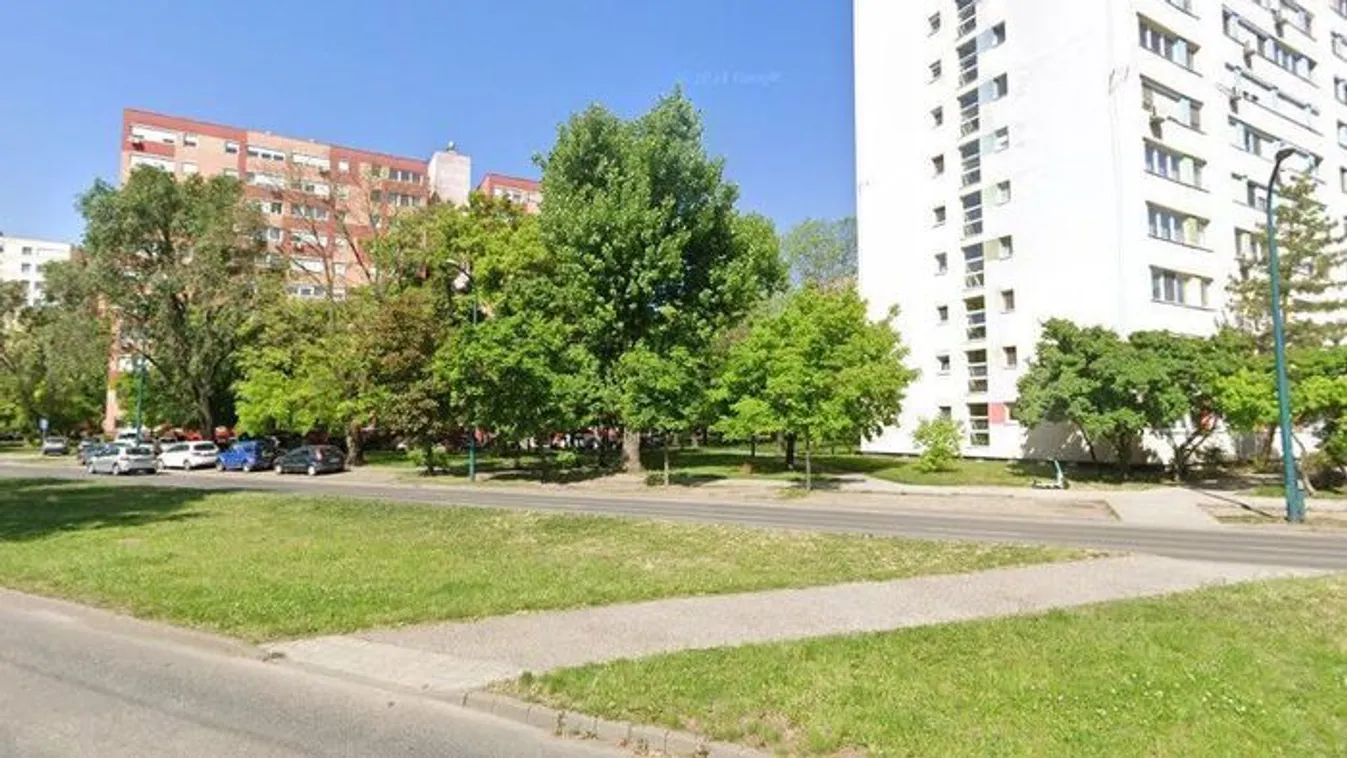 Darázsinvázió: Gyerekágyban találták a fészket