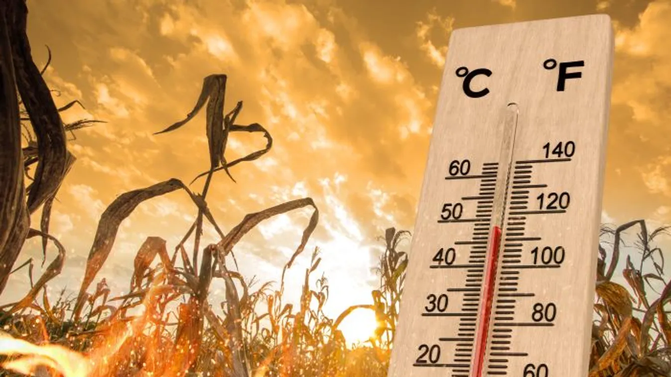 Így élik túl a tikkasztó meleget a hazai celebek