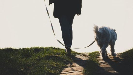Csak kutyát ment sétáltatni, de soha nem tért haza: halálra verték a hatgyermekes családanyát