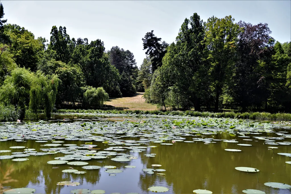 20220723 Vácrátót

Vácrátóti Nemzeti Botanikus Kert bemutatása

Fotó: Havran Zoltán HZ Magyar Nemzet