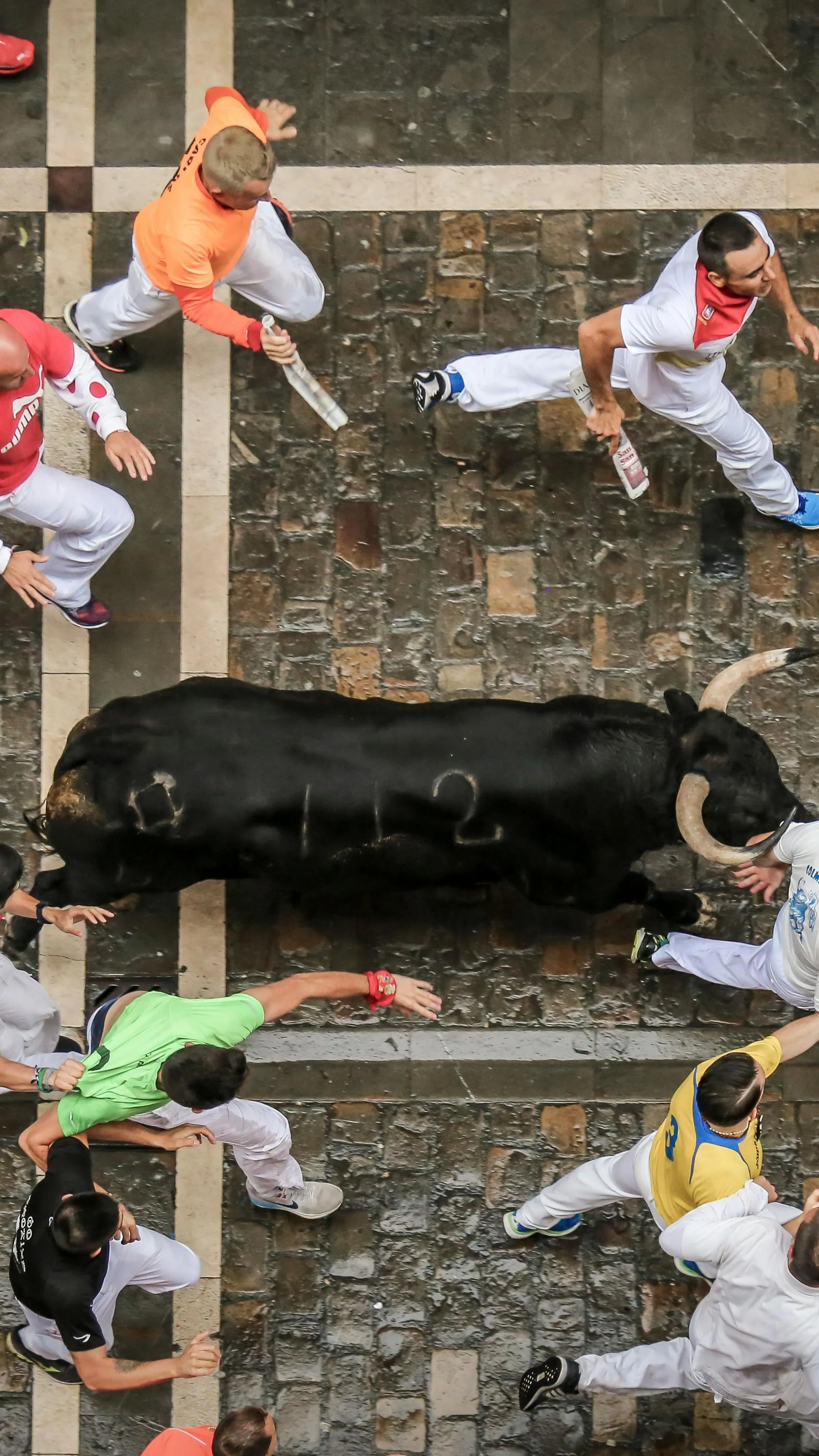 Családját védte a bikától a kisfiú