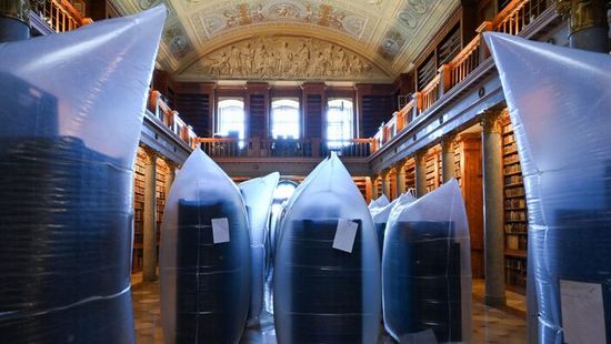 Felzabálja a könyvtárat a pannonhalmi horrorbogár, űrtechnológiát is bevetnek ellene