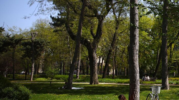 Autista fiával került utcára a rokkantnyugdíjas Éva
