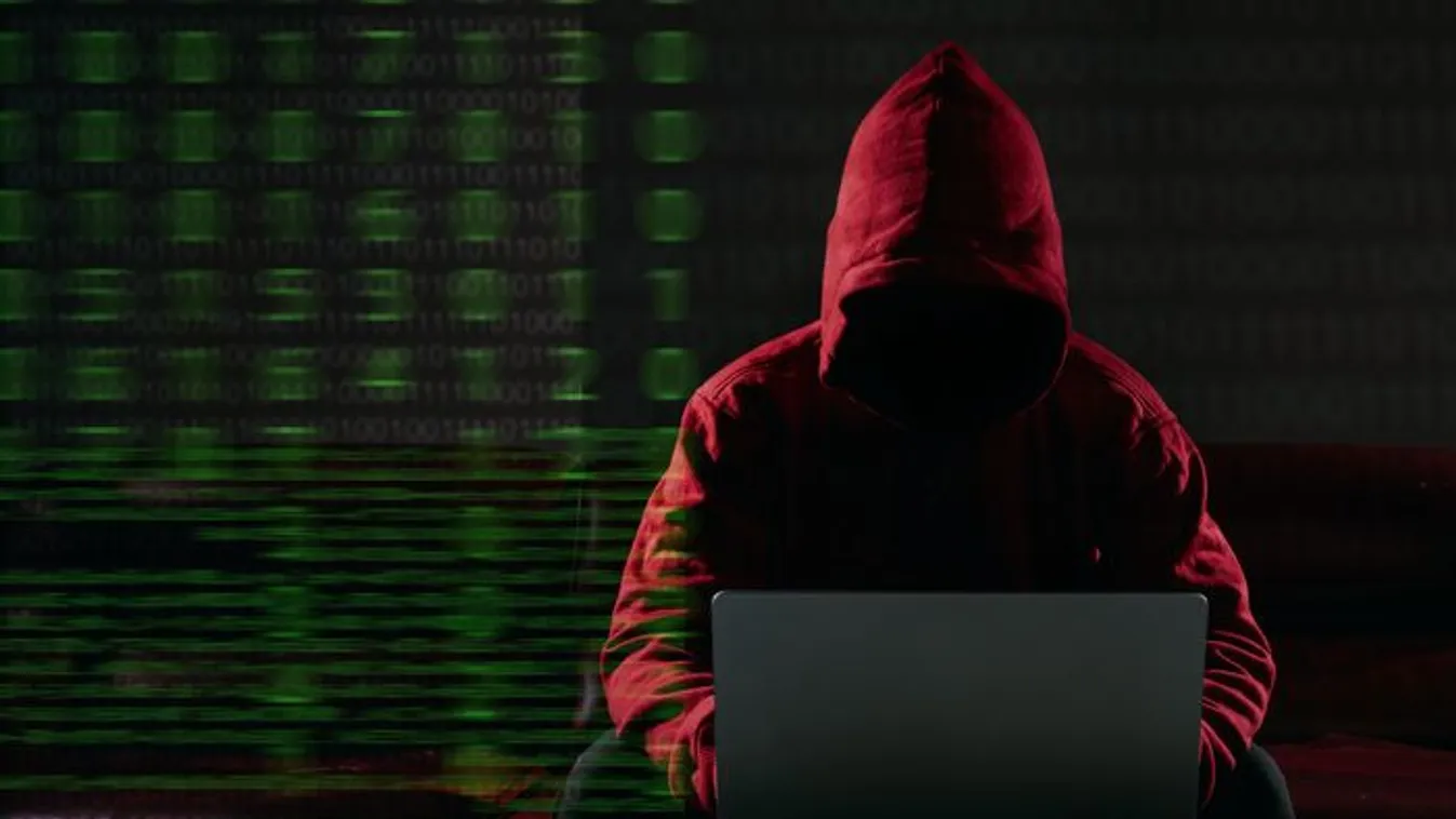 Pedofil hálózat ellen indult nyomozás