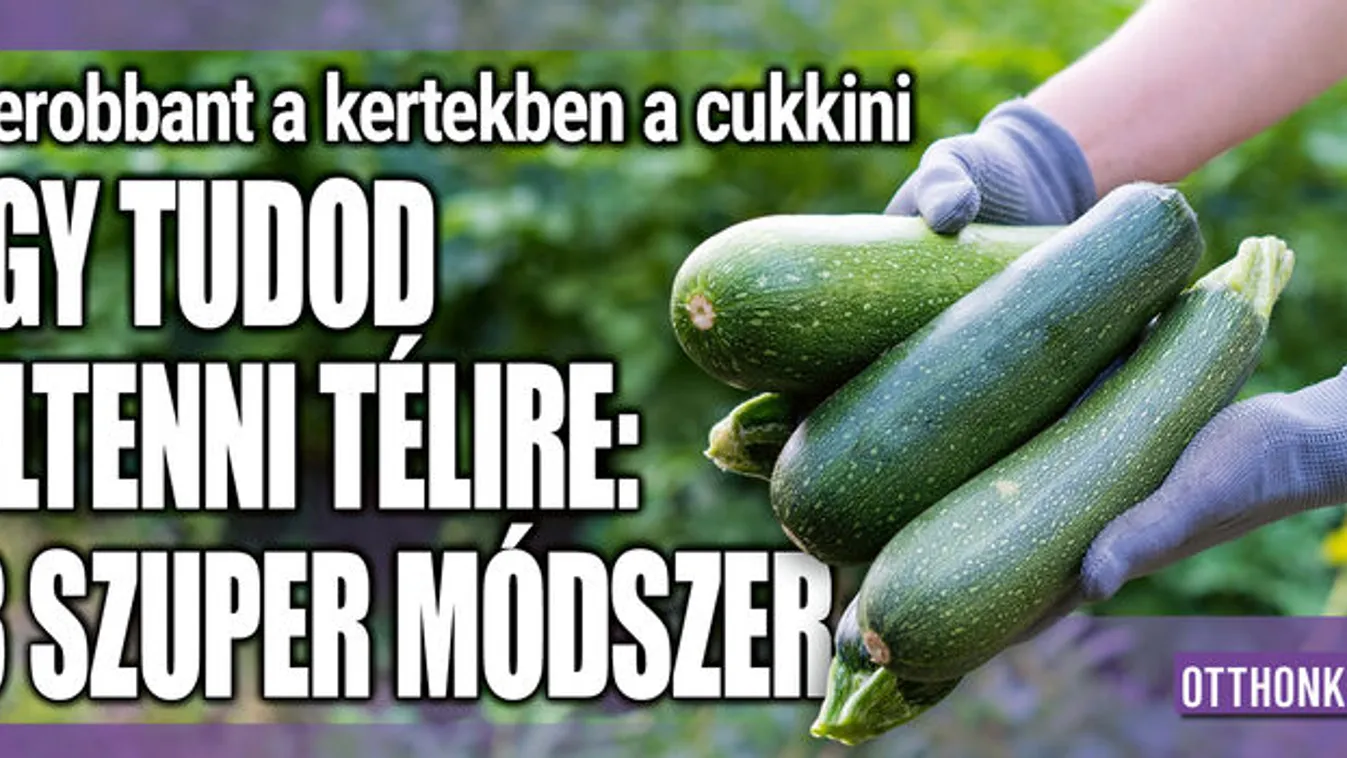 Berobbant a kertekben a cukkini, így tudod eltenni télire