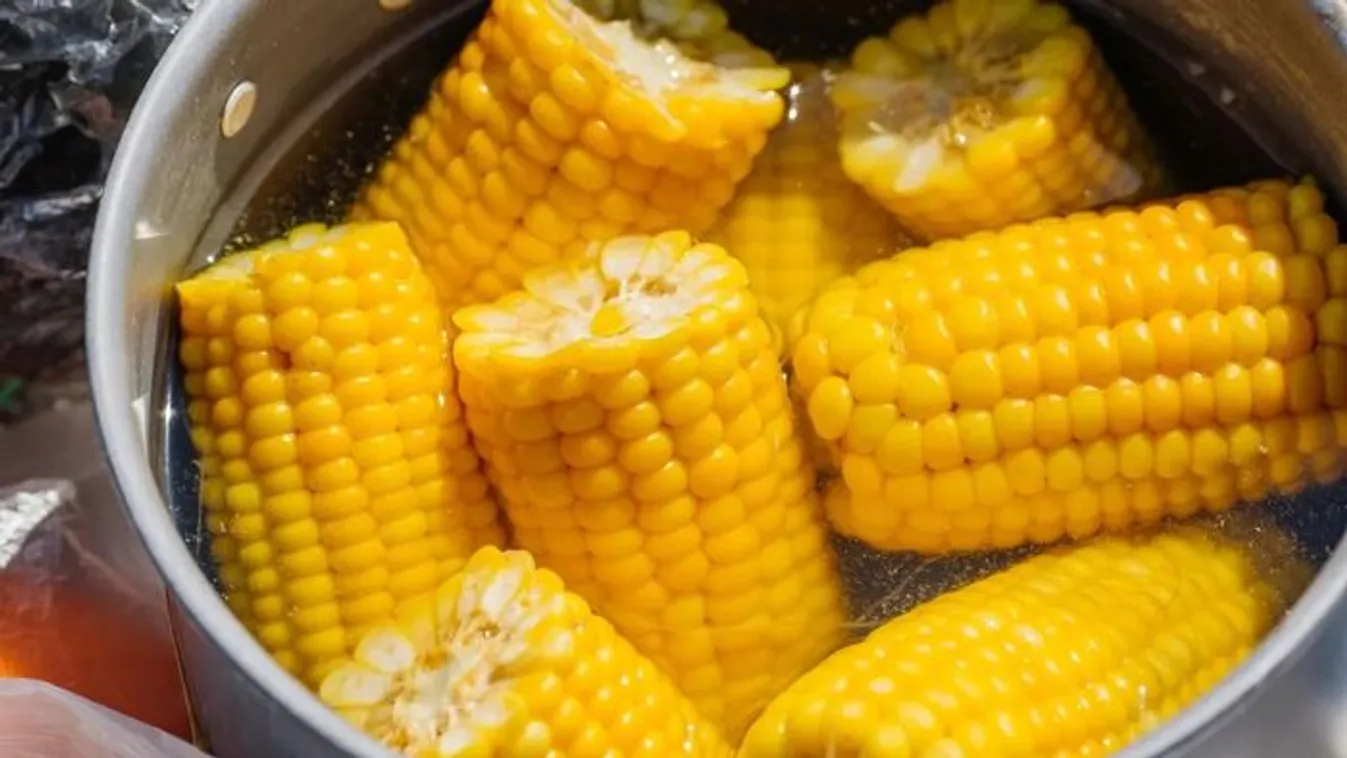 Ez a 3 lépés a tökéletes főtt kukorica titka
