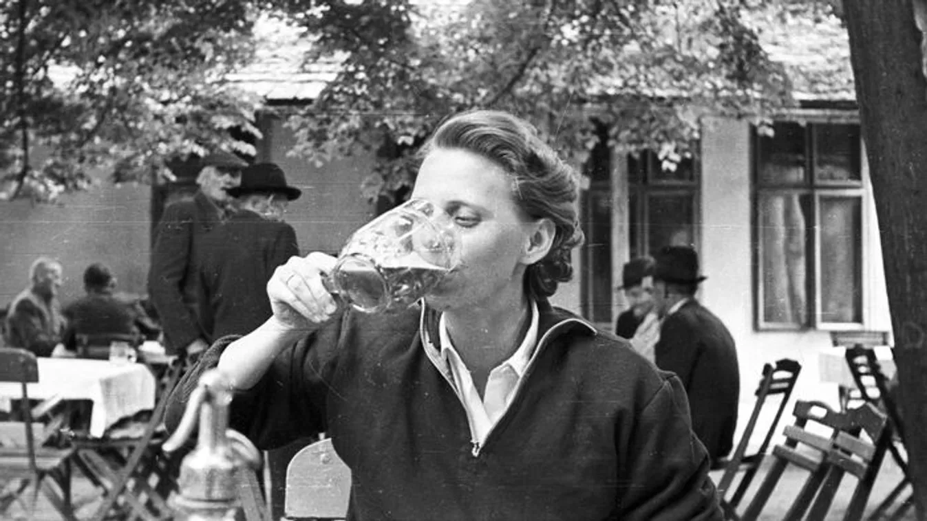 Sör kvíz igazi ínyenceknek