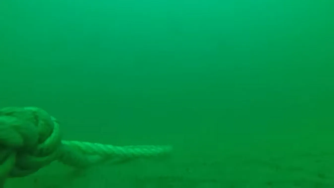 Sokkoló kép az óceán mélyén: GoPro kamera vette fel