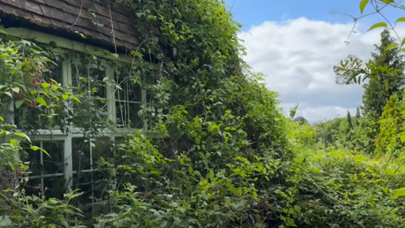 Mindent hátrahagyva tűnt el villájából a milliomos