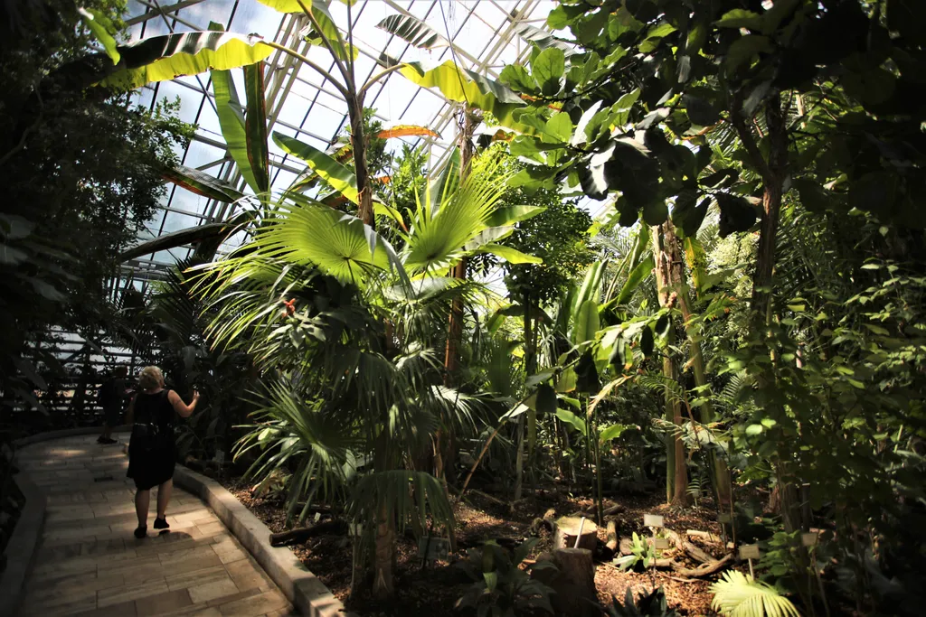 20220723 Vácrátót

Vácrátóti Nemzeti Botanikus Kert bemutatása

Fotó: Havran Zoltán HZ Magyar Nemzet