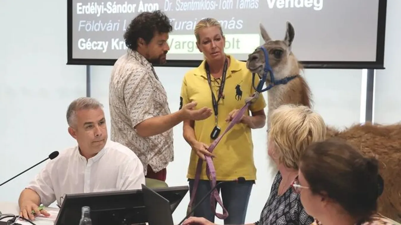 Lámák védték meg az otthonukat Törökbálinton