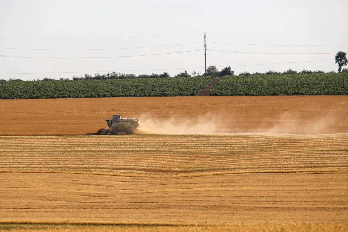 élelmiszerdrágulás