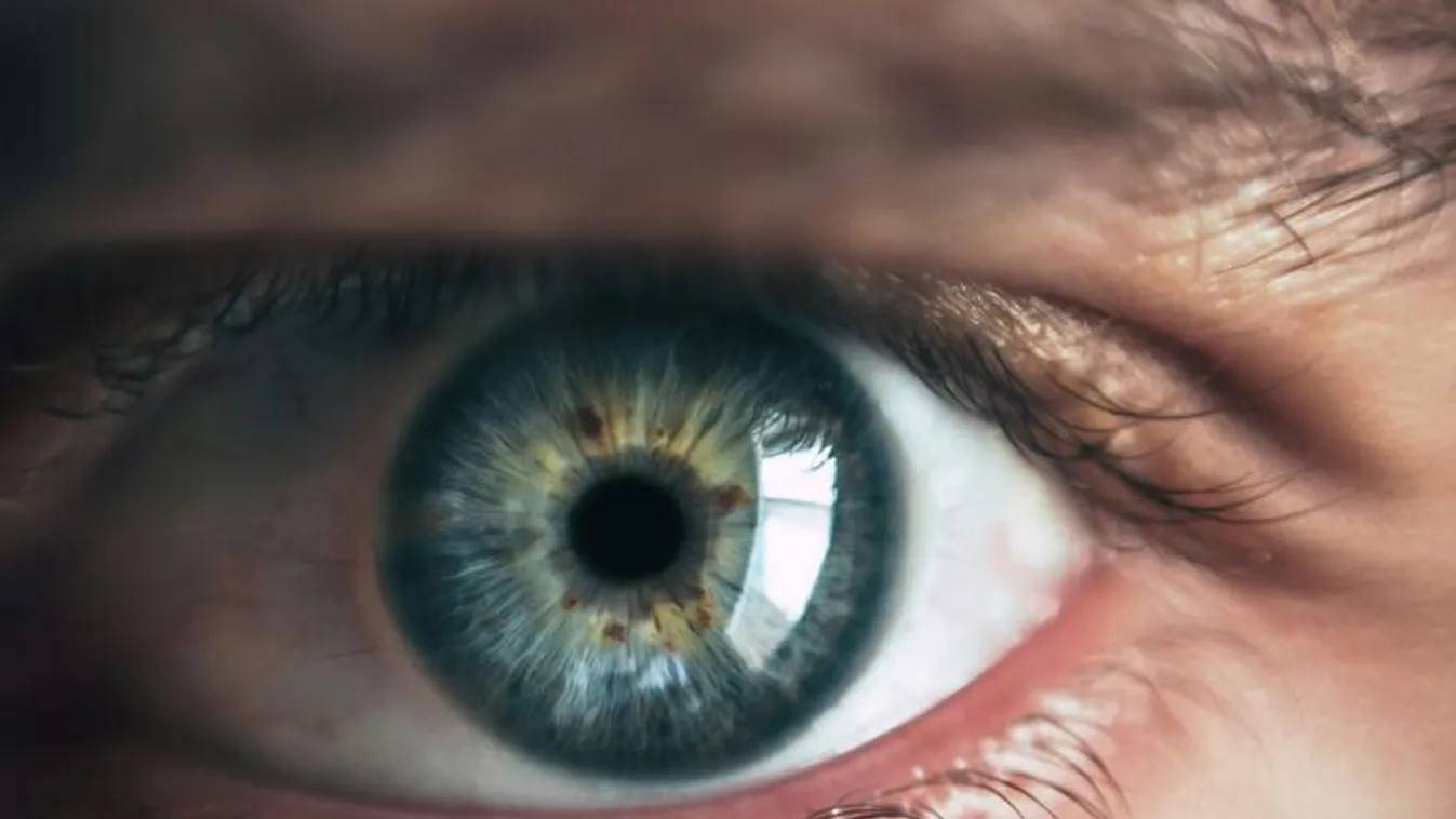 Szoláriumban leste meg a nőket a perverz férfi