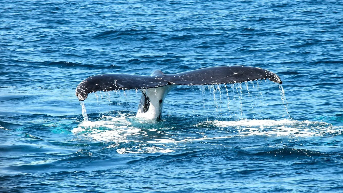 életveszélyre figyelmeztetnek a népszerű üdülőhelyeken