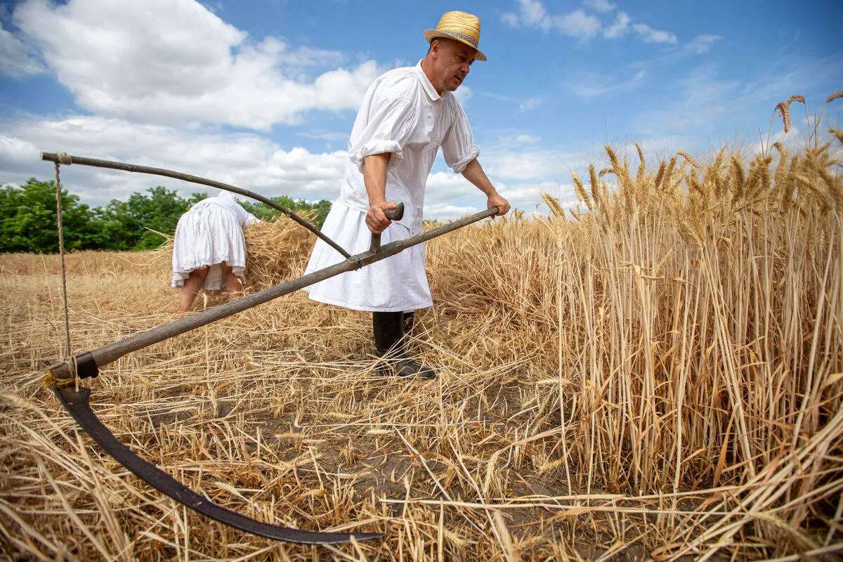 Ilyenek voltak ezek a népdalok