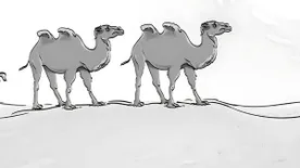 Lehetetlen IQ-teszt: csak a legokosabbak jönnek rá a hibára