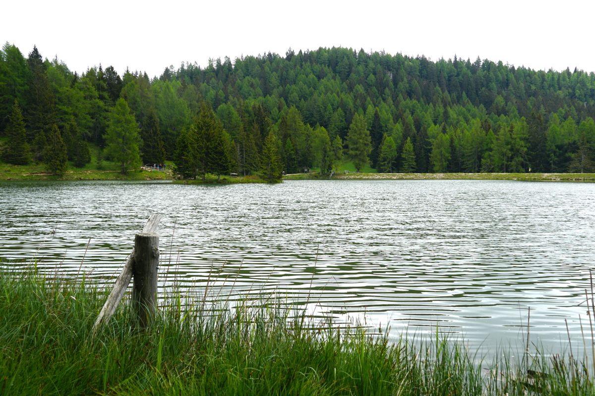 Lake Tret surrounded by mountains covered in forests in Trentino, Italy
