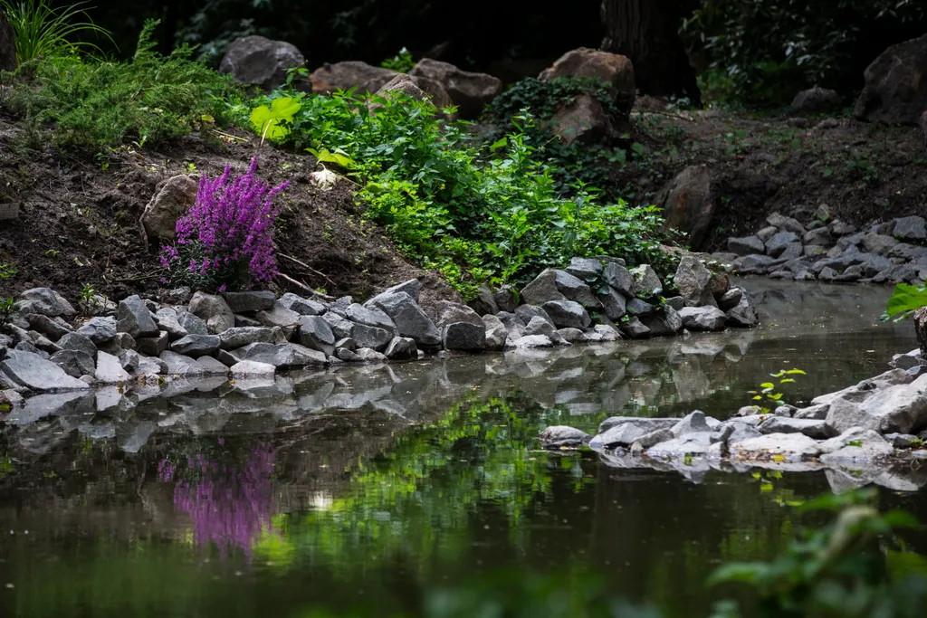 20230629. Vácrátót 
Vácrátóti Nemzeti Botanikus Kert
fotó: Éberling András (EA)
Magyar Nemzet