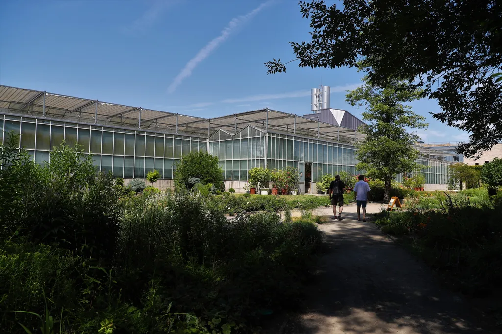 20220723 Vácrátót

Vácrátóti Nemzeti Botanikus Kert bemutatása

Fotó: Havran Zoltán HZ Magyar Nemzet