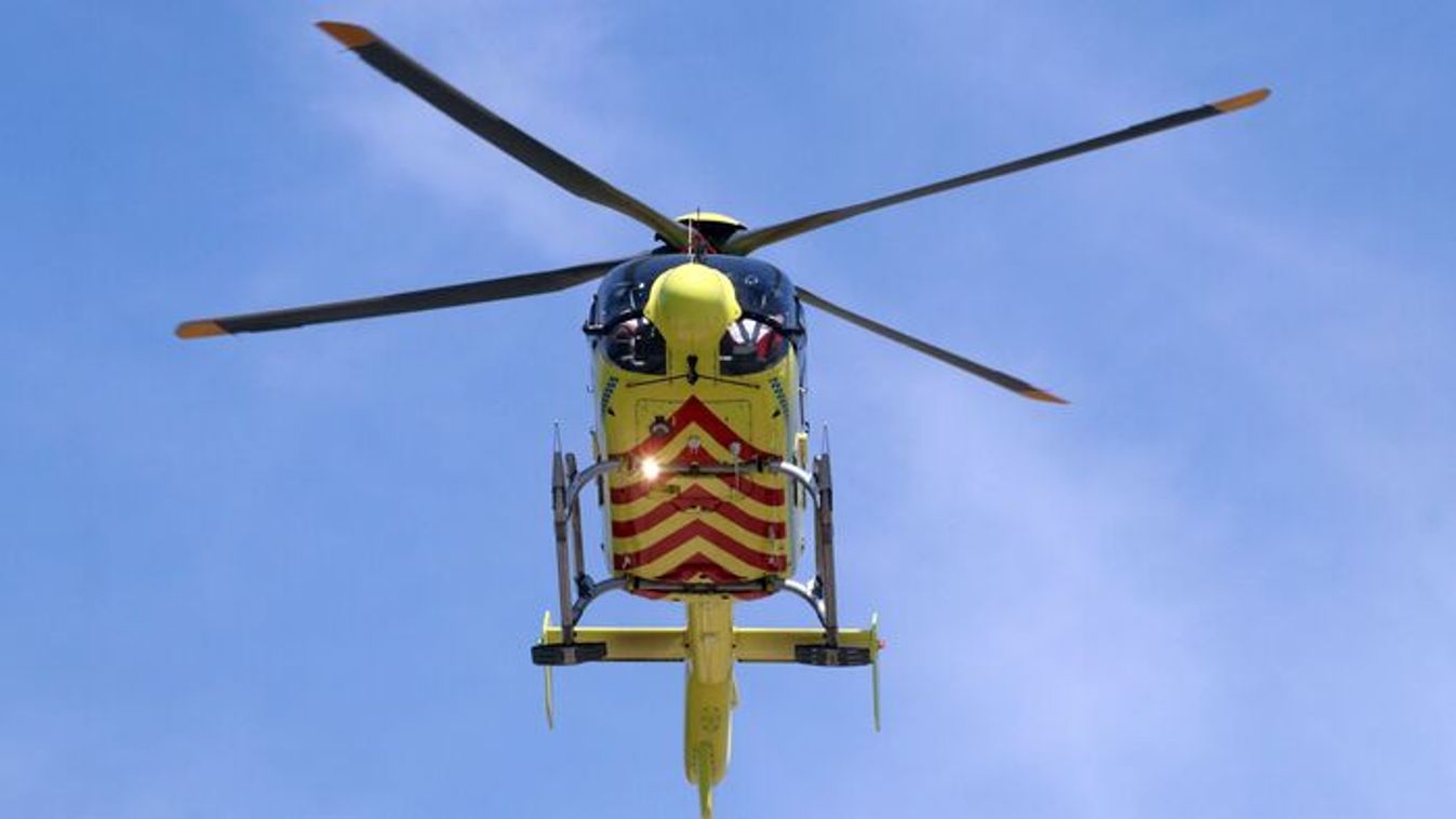 Rémálom: medvetámadás miatt került kórházba egy nő