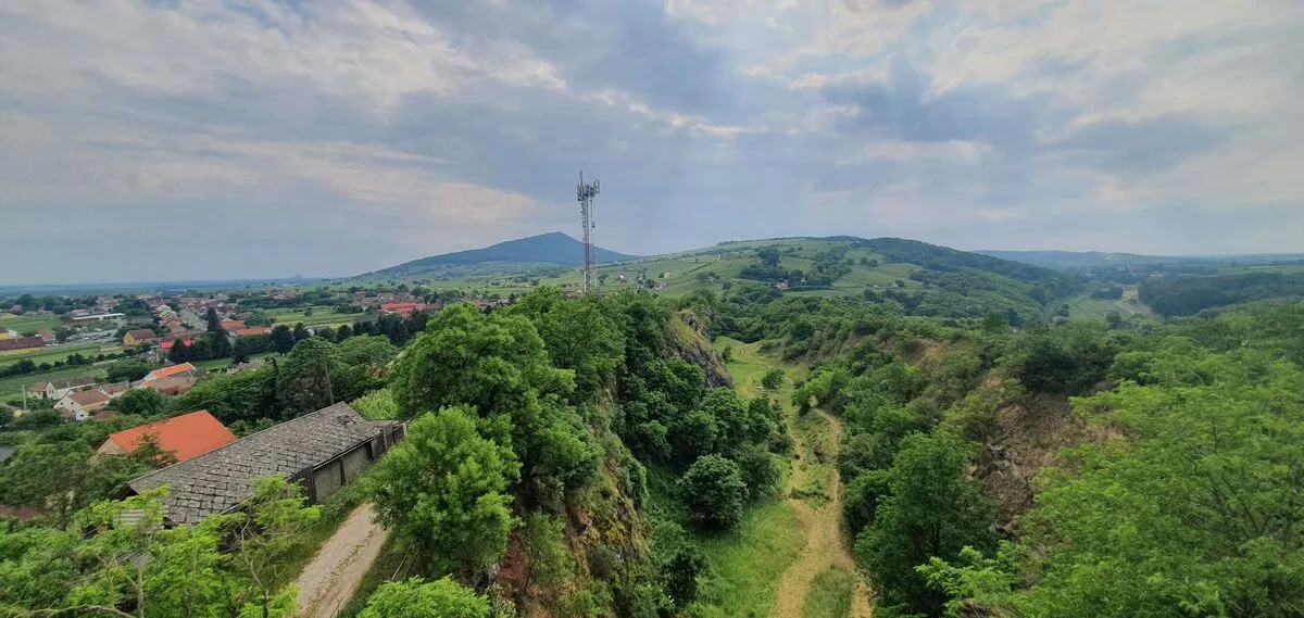 A Szársomlyó hegy legismertebb látnivalója a decembertől februárig nyíló magyar kikerics, ami legközelebb a mediterrán tájon a Dinári-hegységben nyílik. Az utóbbi években azonban a felmelegedésnek köszönhetően hazánk szubmediterrán tájegységén Villányban is felzendül a Kabócák zenéj
