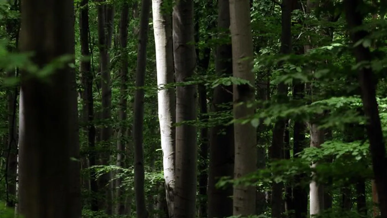 Öt hely, amit jobb lenne elkerülni, mégis muszáj látni