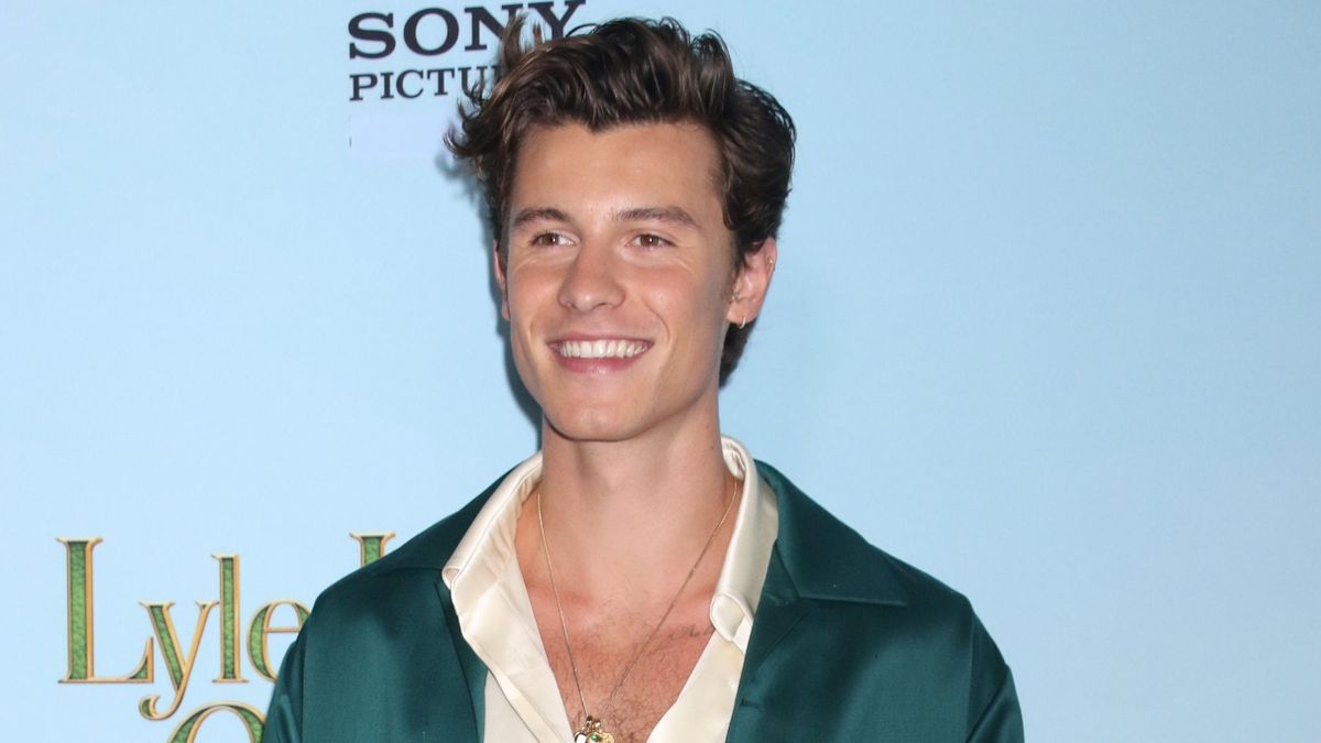 Shawn Mendes pultosnak állt a Sziget Fesztiválon: idén is megismételheti