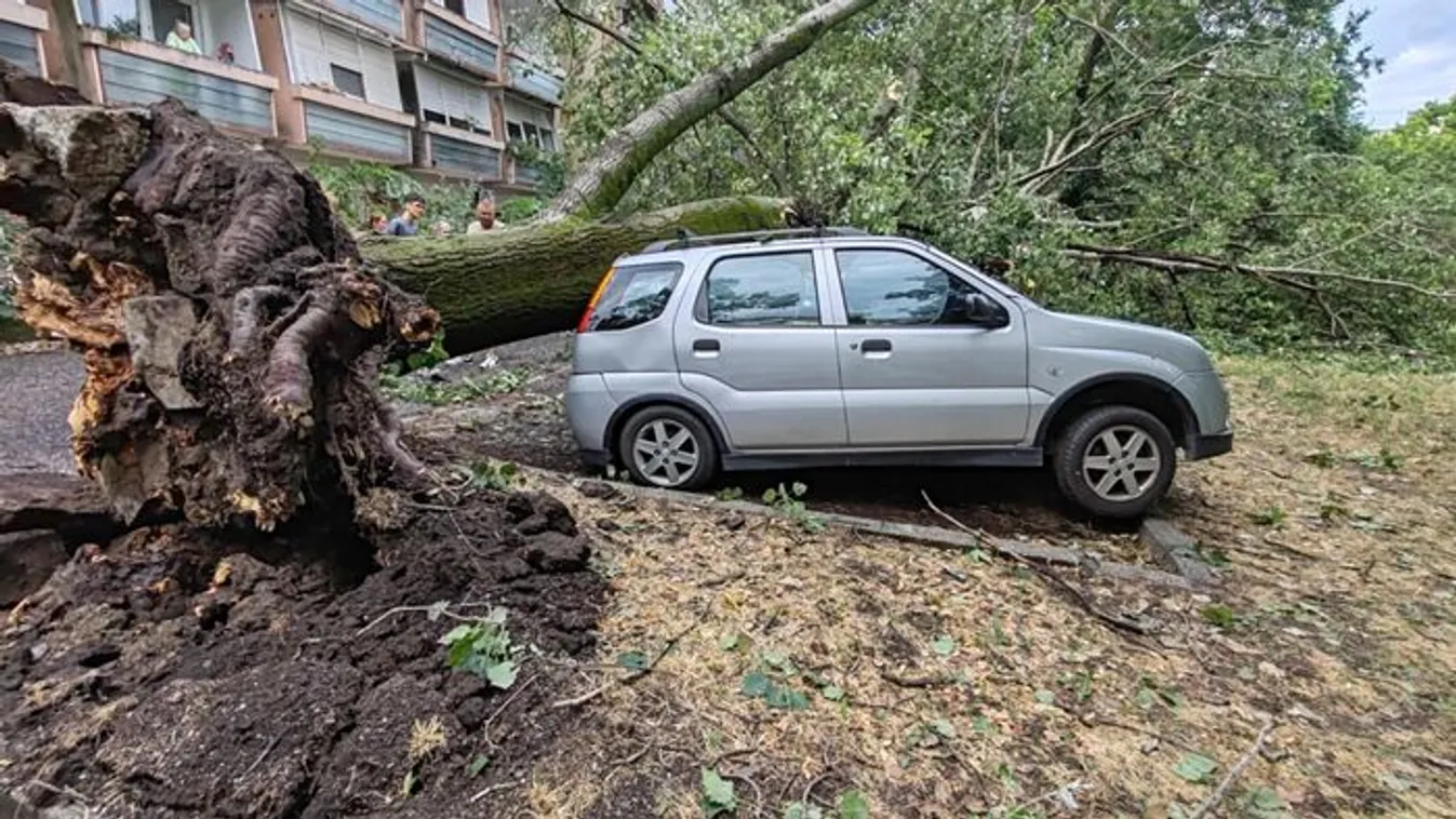 Orbán Viktor: A rendszer működtetése jó kezekben van