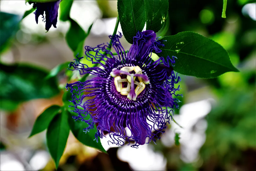 20220723 Vácrátót

Vácrátóti Nemzeti Botanikus Kert bemutatása

Fotó: Havran Zoltán HZ Magyar Nemzet