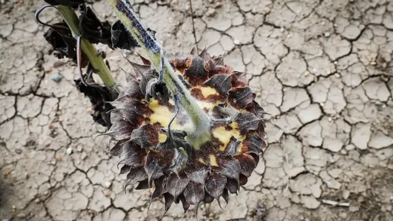  Dömötör Csaba: a Tisza Párt az ingyenes öntözővíz ellen