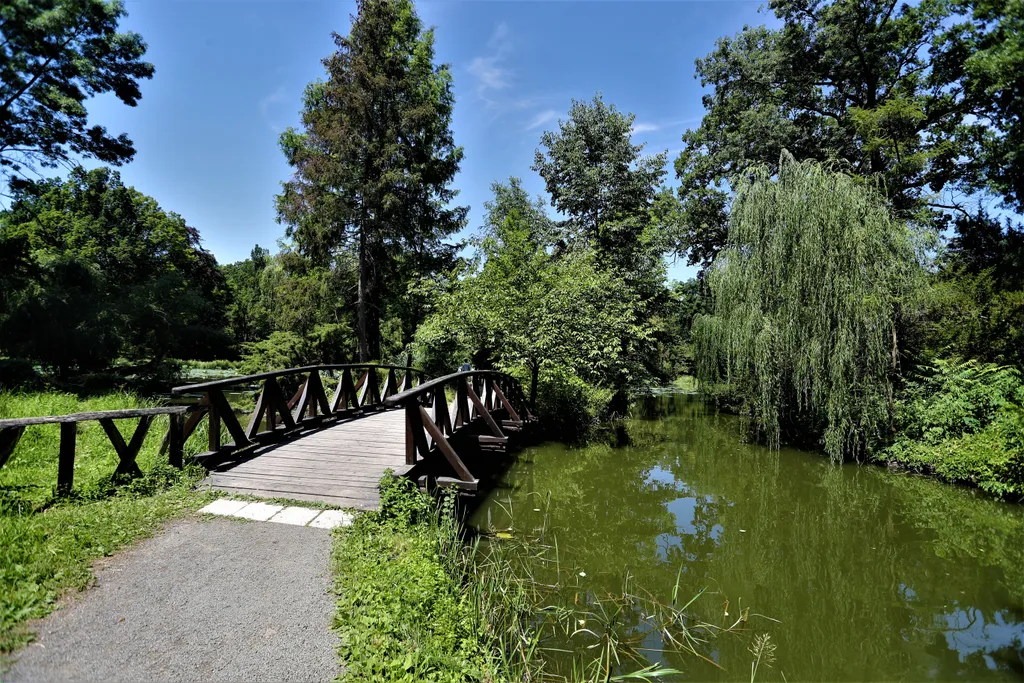 20220723 Vácrátót

Vácrátóti Nemzeti Botanikus Kert bemutatása

Fotó: Havran Zoltán HZ Magyar Nemzet