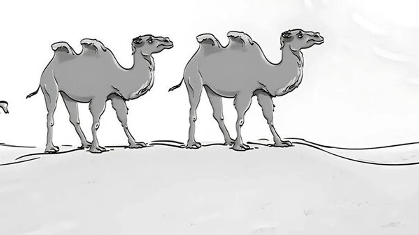 Lehetetlen IQ-teszt: csak a legokosabbak jönnek rá a hibára