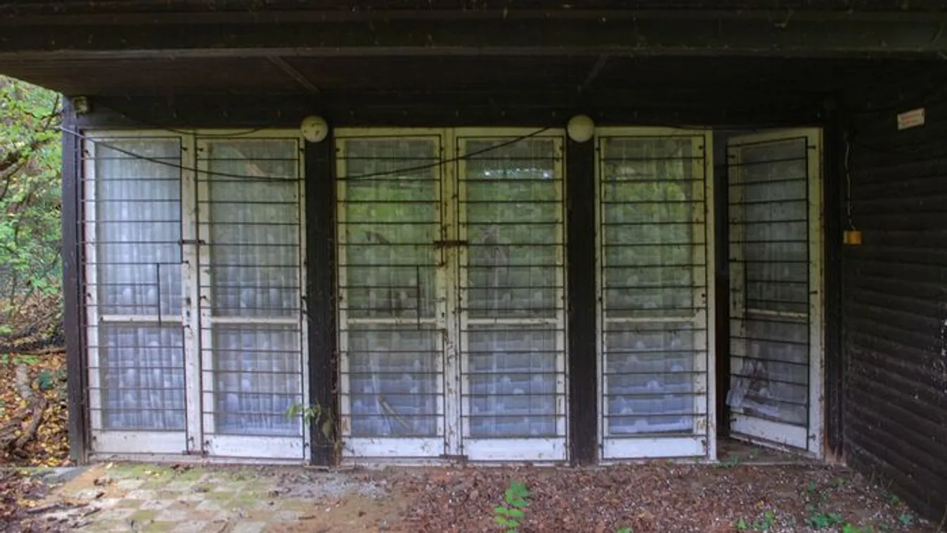 Mindent hátrahagytak egy balatoni házikóban