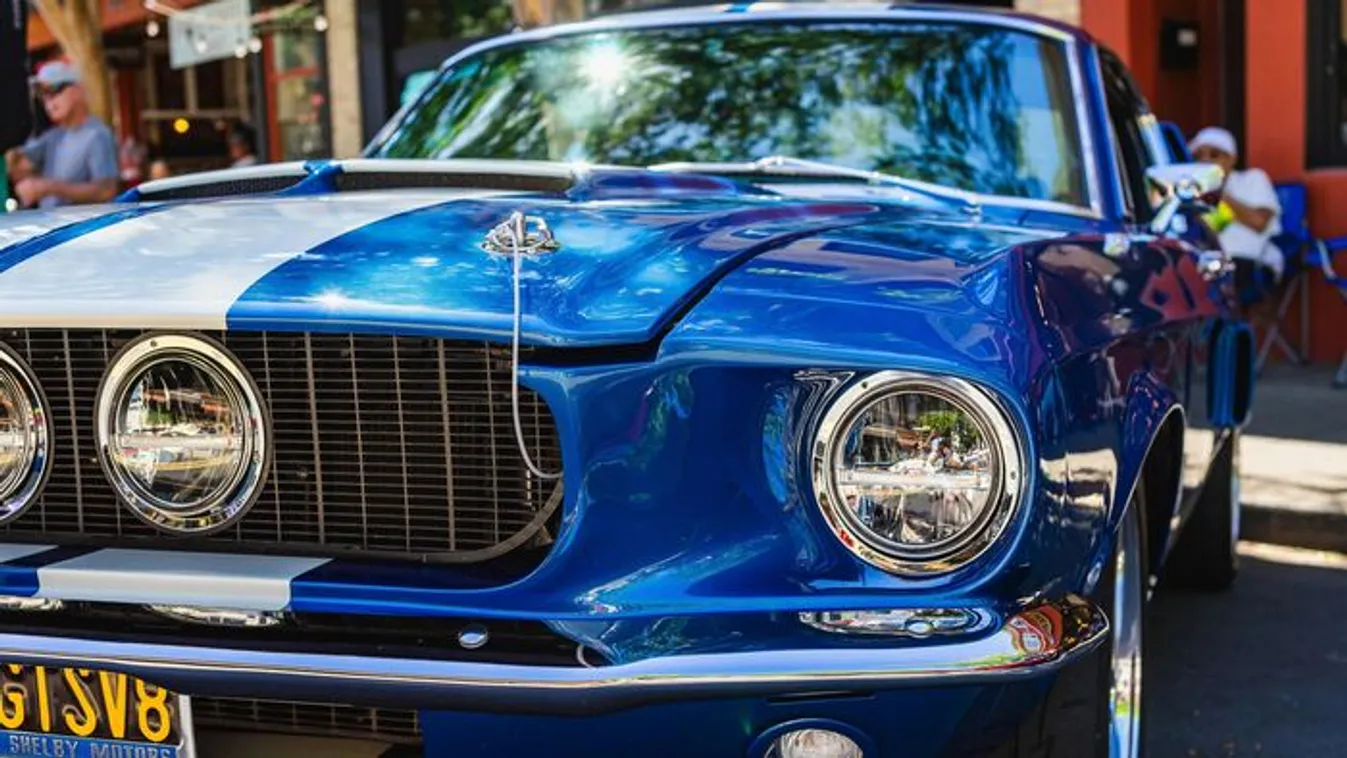 Horrorba torkollott az autóvásárlás