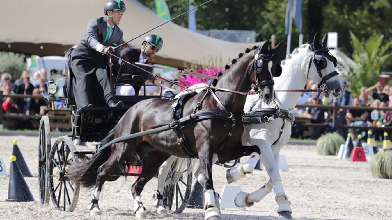 Magyar világrekordot, történelmi sikert ünnepelnek