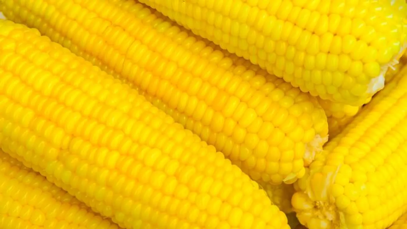 Így tedd el a csöves kukoricát télire, isteni zsenge és édes marad!