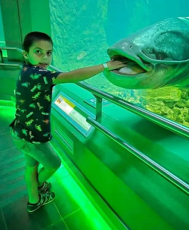 Hatalmas élmény volt Léni számára az óriási akváriumok és a halak látványa 
