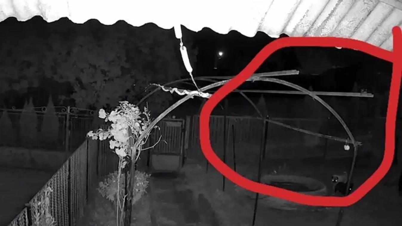 Hihetetlen jelenés: Edináék videóra vették a szellemet