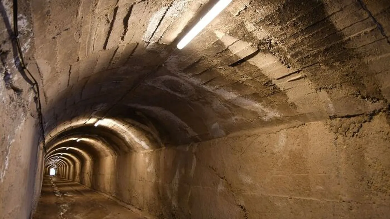 Megdöbbentő építményre bukkant a kertfelújításba kezdett pár