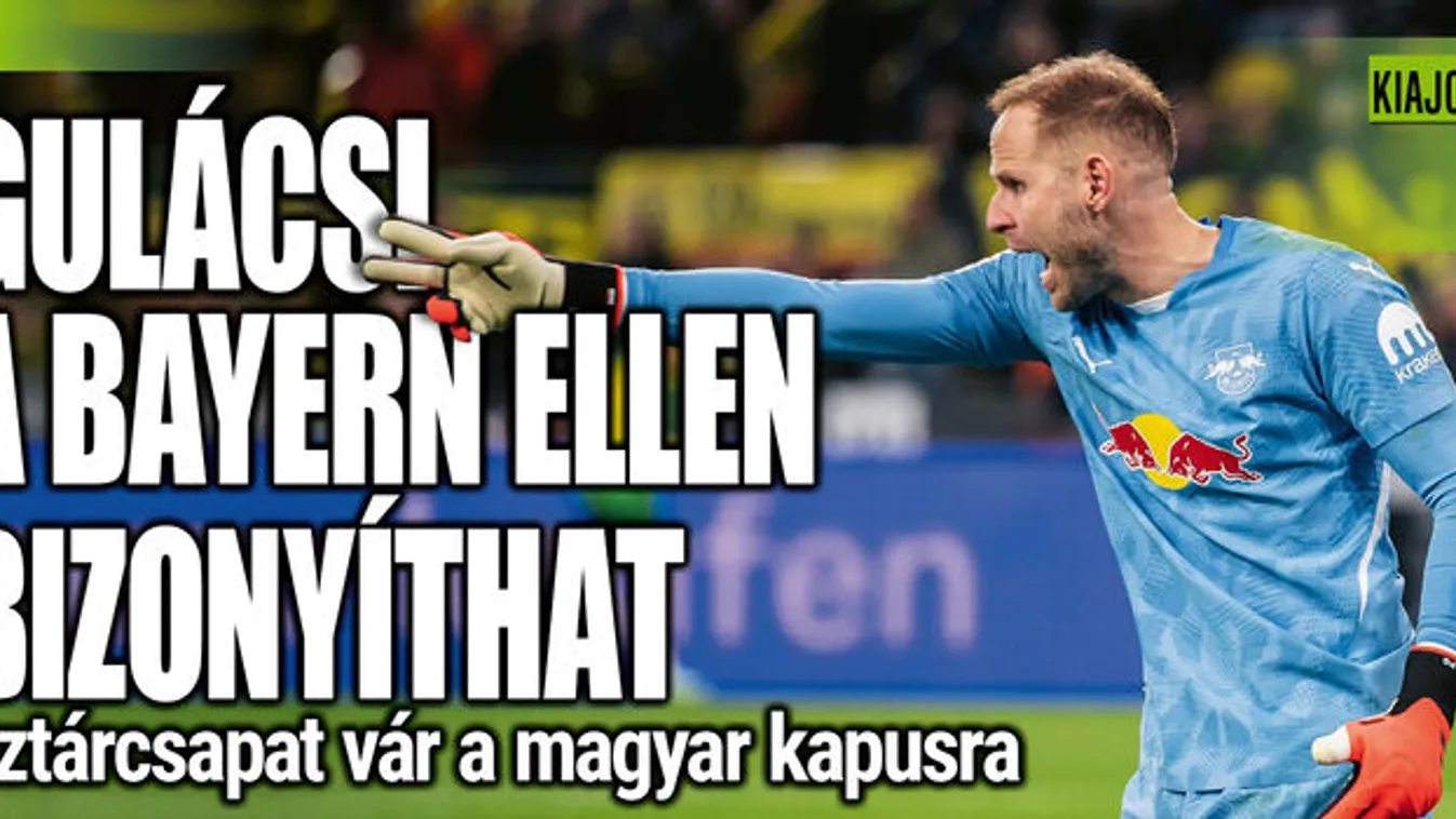 Gulácsit elátkozták, máris nagy bajba került