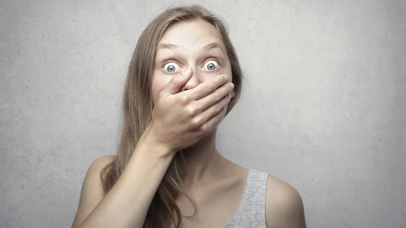 Elképesztő, hogy mire bukkant a sztár kutyája