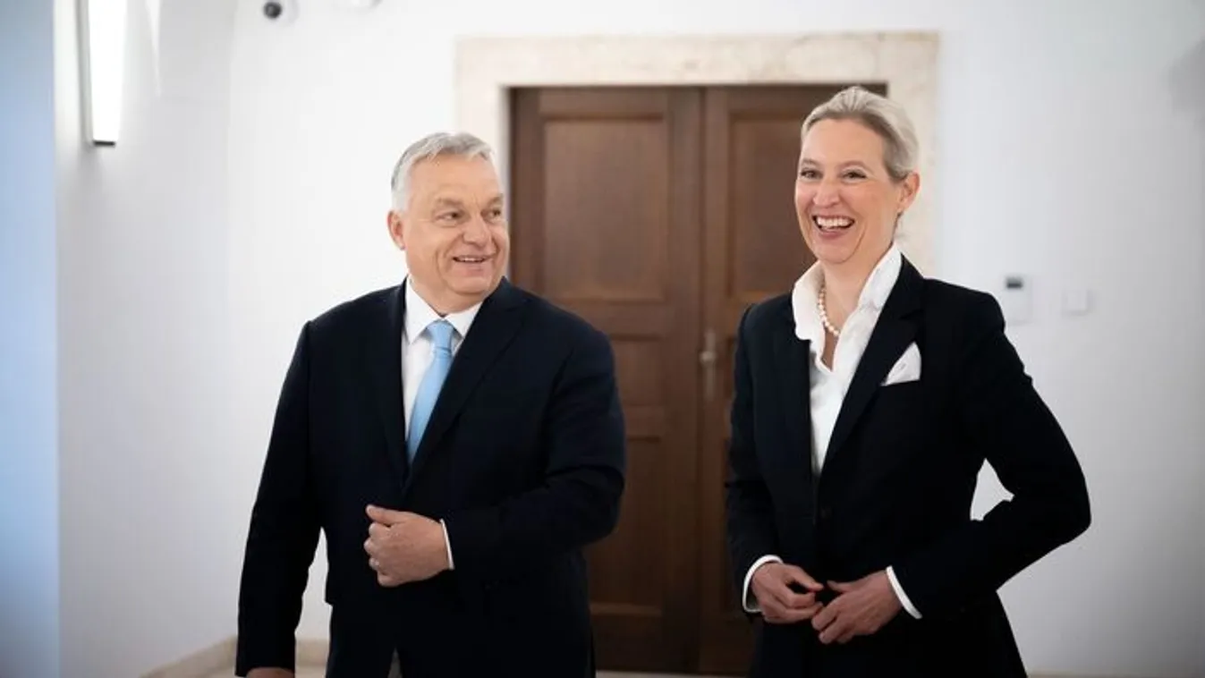 Az AFD megelőzte a kormánypártokat Németországban