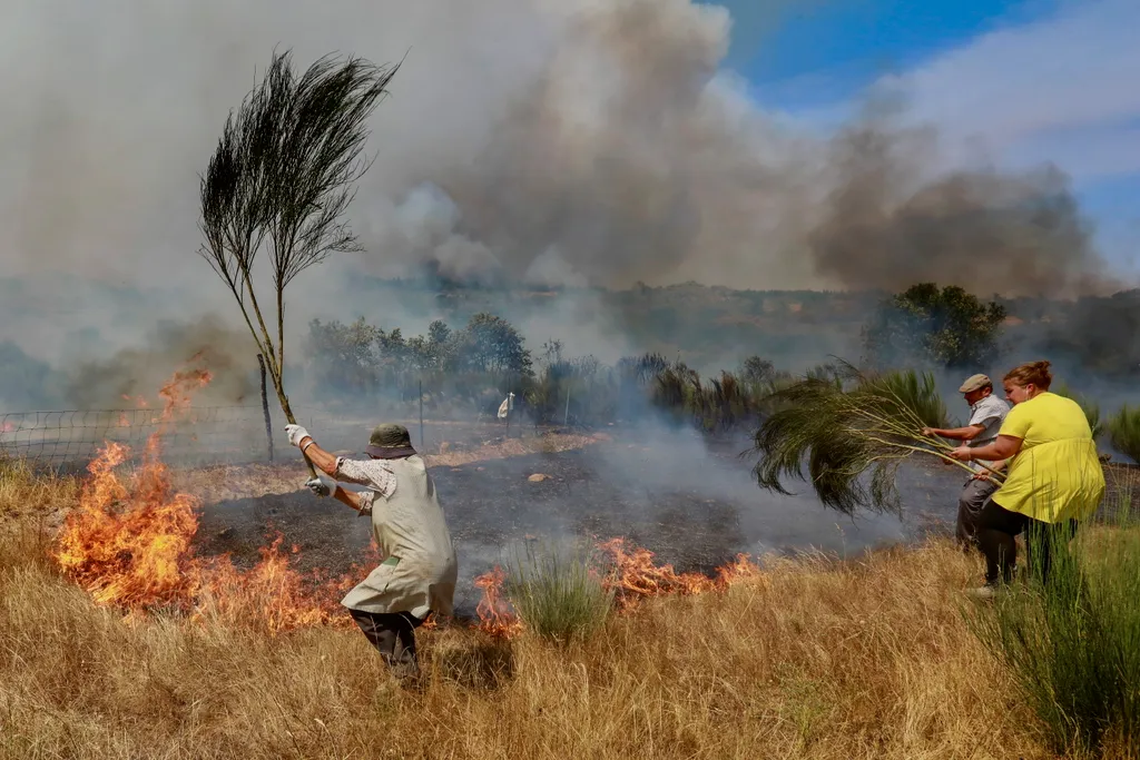 Helyi lakosok segítenek a tűz megfékezésében Portugáliában